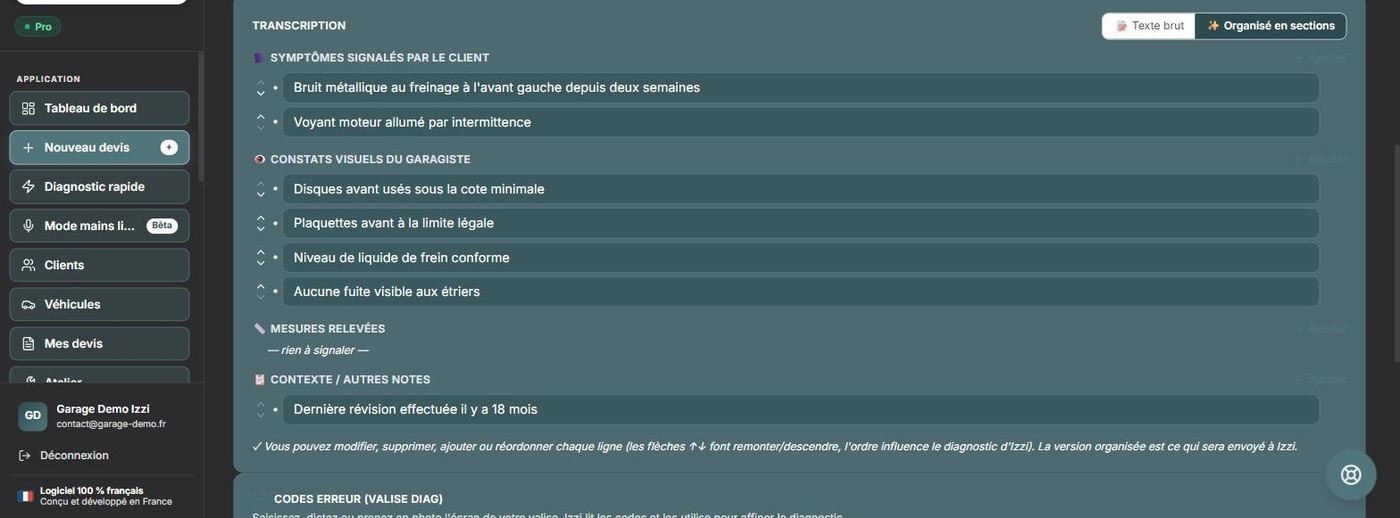 Transcription rangée en sections : symptômes, constats, mesures, contexte